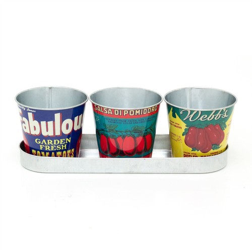 Set vintage style tomato - of,