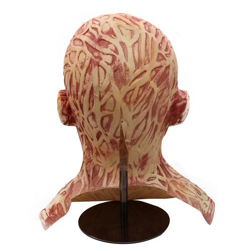 Freddy krueger - shown),
