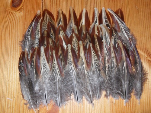 Large cock pheasant outer - 50,