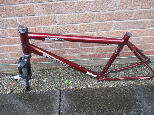 Dawes Saratoga 90's MTB 20"
