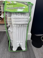 Men cricket pads rh - cricket,