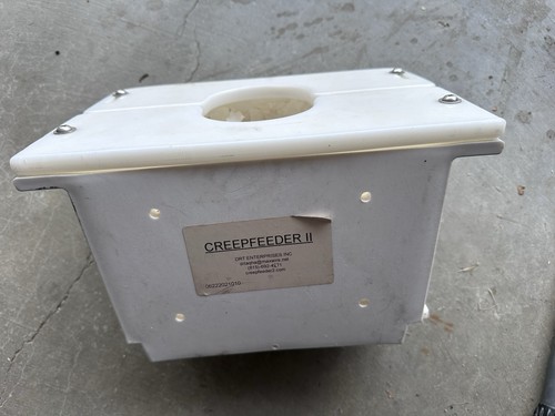 Horse tack creep - horse, for