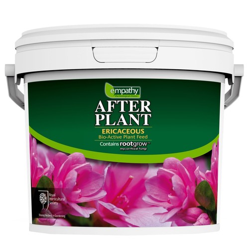 Empathy azalea camellia - empathy,