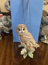 Country Artist Tawny Owl Figurine