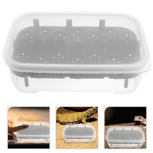 Incubator for small reptiles - small,