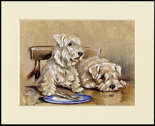 Sealyham terrier dog art - terrier,