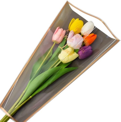 Pcs clear cellophane - 50,