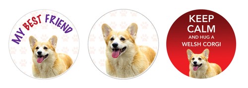 Welsh corgi dog vinyl car - welsh,