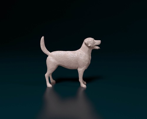 Labrador retriever dog scale - retriever,