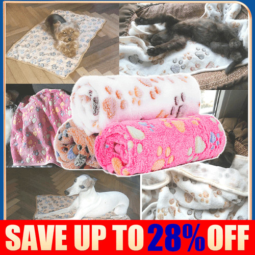 Large pet blanket - pet,