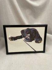 Black Labrador Laying Down Art Print In Black Frame