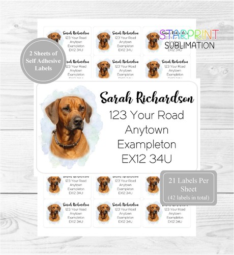 Rhodesian ridgeback - rhodesian,