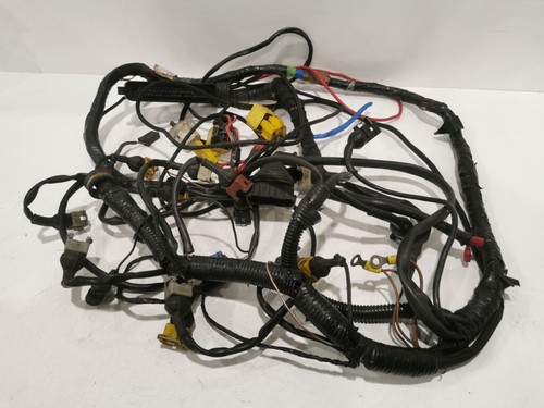 Ford cosworth injector loom - ford,