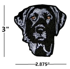 Black Lab Labrador Retriever