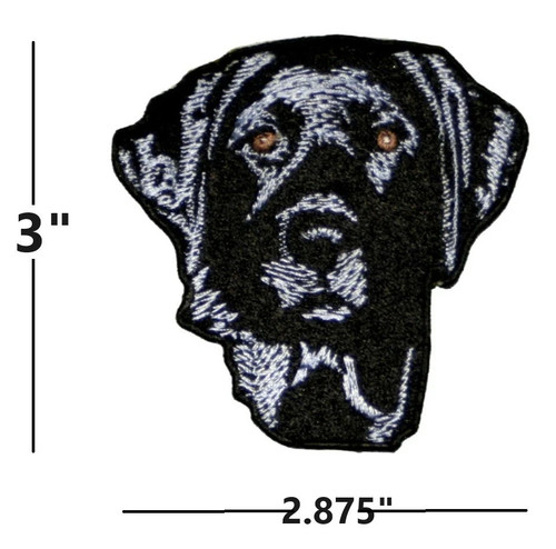 Black lab labrador retriever - black,