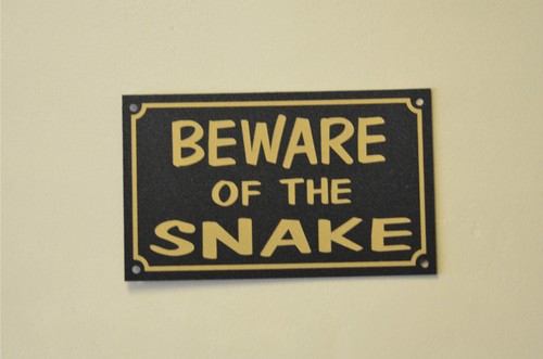 Beware the snake - snake, or