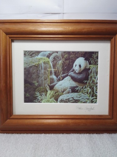 Stephen gayford giant panda - stephen,