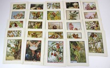 24 Flower Fairy of Trees