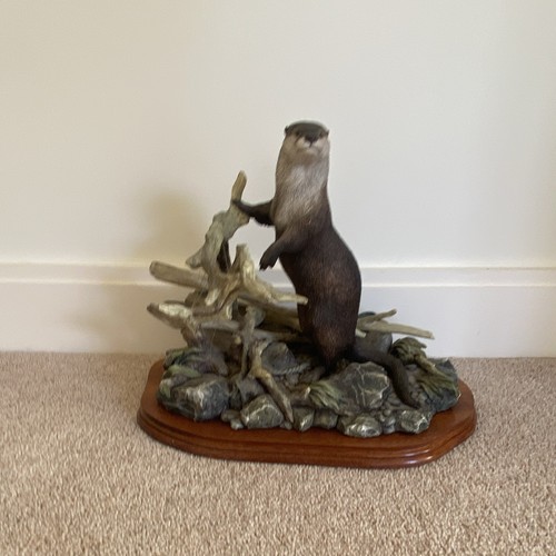River sentinel otter b0362 - river,