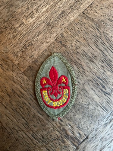 Vintage boy scouts - boy, patch