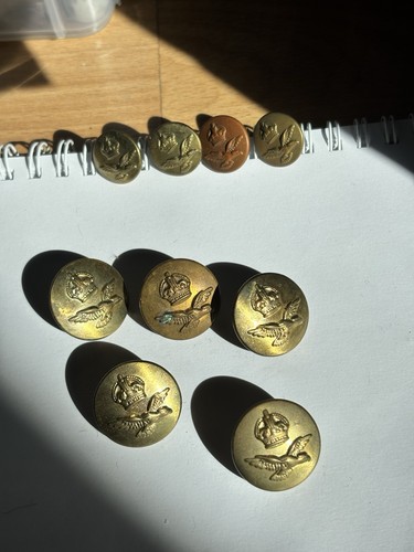 British military buttons - british,