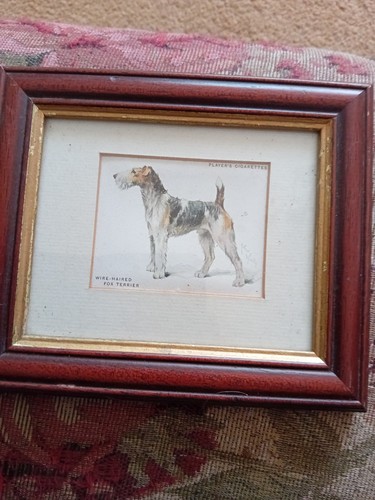 Mounted photo framed players - mounted,