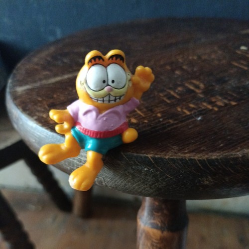 Garfield the cat pink - the, shirt