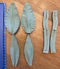 Star Gazer Lily Leaf & Stamen Veiner 