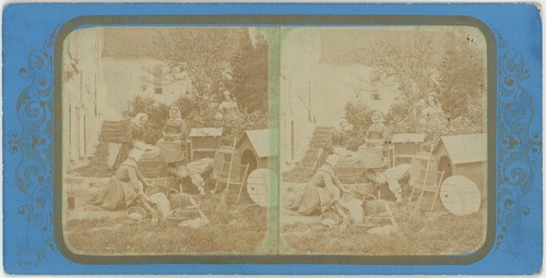 Stereoview fraget viret - stereoview,