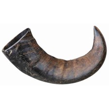 Trixie large buffalo horn - large,