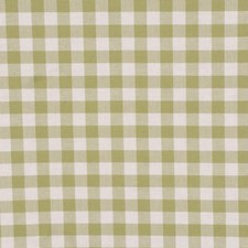 Gingham Check Green Fabric
