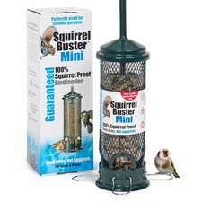 Squirrel proof bird feeder - bird,