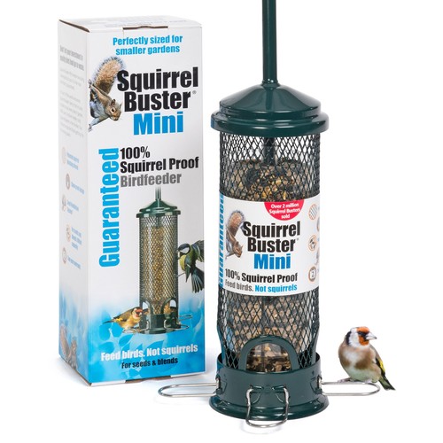 Squirrel proof bird feeder - bird,