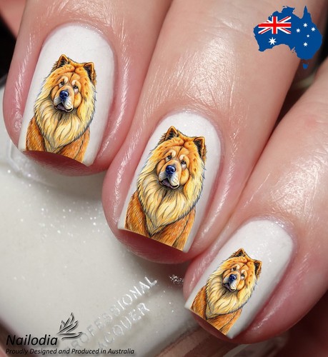 Chow dog puppy nail - puppy, art