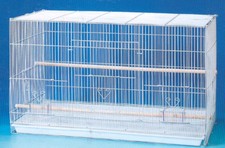 24" Aviary Canaries Budgie