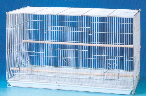 Aviary canaries budgie - 24",