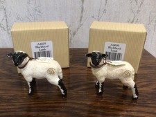 Border Fine Arts Black Faced