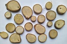1-3cm Wood Birch Tree Slices