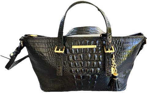 Brahmin mini asher satchel - asher, in