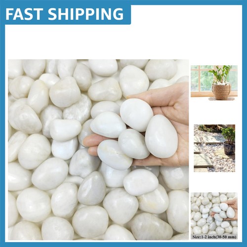 Lbs polished white pebbles - white,