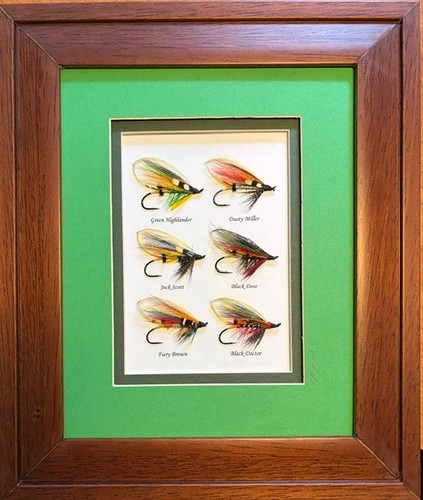 Framed and mounted hairwing - mounted,