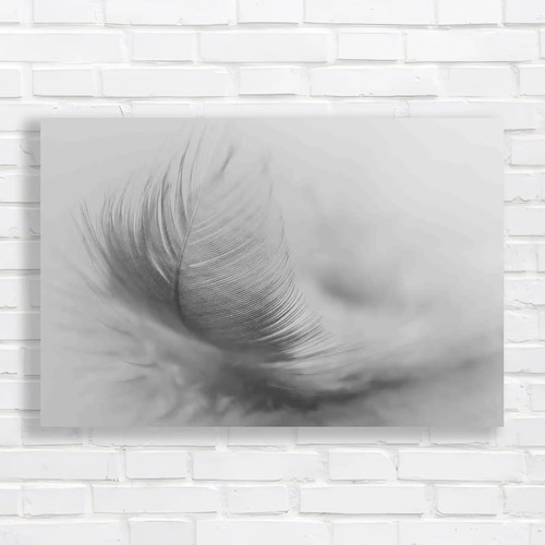 Soft feather picture - soft,