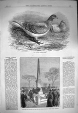 Original Old Antique Print