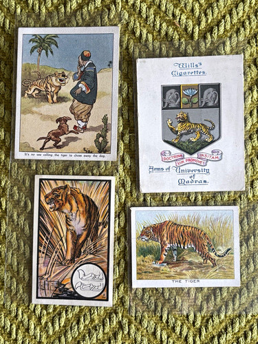 Vintage tiger cigarette - tiger,