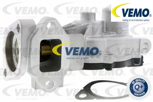 Egr valve intake - egr, manifold