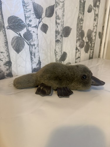 Plush australian platypus - plush,