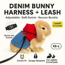 Rabbit Harness Leash Bunny