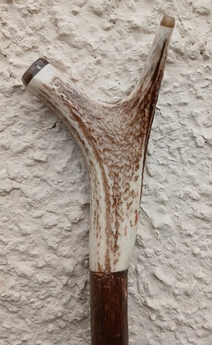 Stag antler thumb stick free - stag, (free