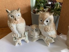 Vintage retro 2 perched owl