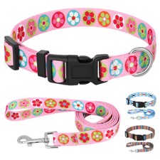 Adjustable Nylon Dog Collar and Lead Set for Small Medium Dogs Chihuahua Yorkie